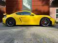 Porsche Cayman 718 Cayman GT4 ABSOLUT  WIE NEU, Chrono Yellow - thumbnail 4
