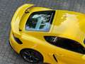 Porsche Cayman 718 Cayman GT4 ABSOLUT  WIE NEU, Chrono žuta - thumbnail 15