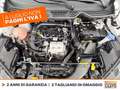 Ford EcoSport 1.0 ecoboost active s&s 125cv Alb - thumbnail 11