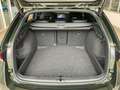 Skoda Octavia Combi 1.5 eTSI DSG Sportline LED AHK Navi HUD Rear Grün - thumbnail 13