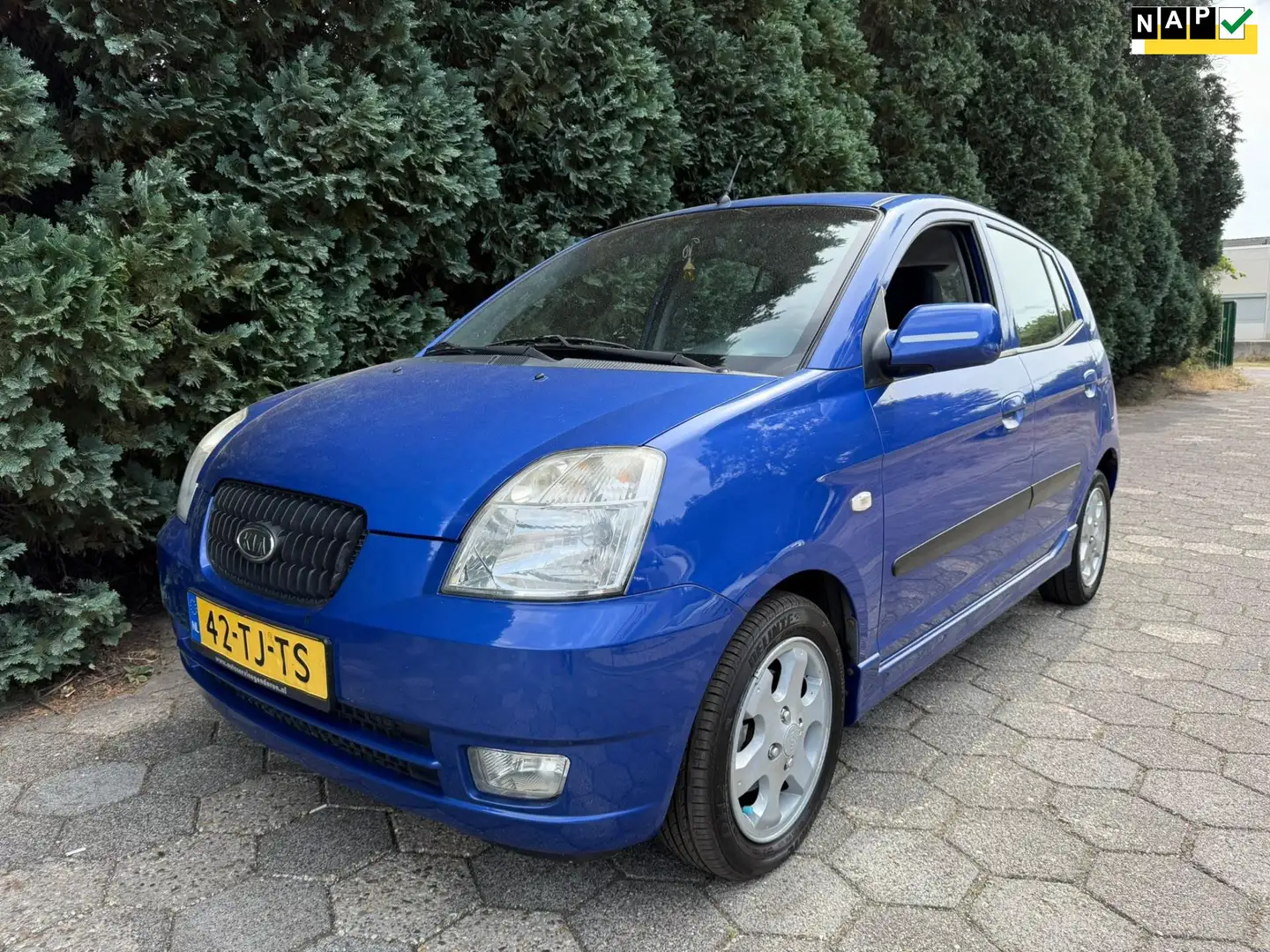Kia Picanto 1.0 Bling | Airco Blu/Azzurro - 1