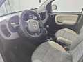 Fiat Panda Panda III 2012 4x4 1.3 mjt 16v 4x4 75cv E5+ Bianco - thumbnail 10