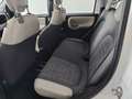 Fiat Panda Panda III 2012 4x4 1.3 mjt 16v 4x4 75cv E5+ Bianco - thumbnail 9