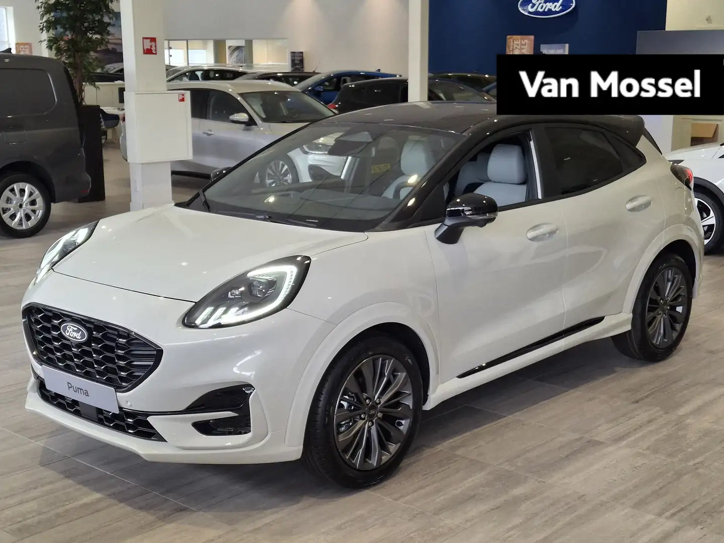 Ford Puma 1.0 EcoBoost Hybrid Sound Edition | B&O | Matrix | - 1