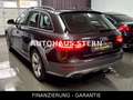 Audi A4 allroad quattro 3.0 TDI 8xReifen AHK Tempomat Gris - thumbnail 4