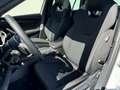 Skoda Octavia Combi IV 1.5 TSI DSG Sportline Standhzg DCC Pano Weiß - thumbnail 36