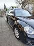 Volkswagen Beetle Beetle 1,4 TSI Sport Austria DSG Sport Austria Schwarz - thumbnail 3