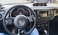 Volkswagen Beetle Beetle 1,4 TSI Sport Austria DSG Sport Austria Schwarz - thumbnail 5