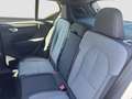 Volvo XC40 B3 Plus Dark Aut. Blau - thumbnail 17