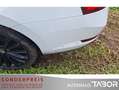 Skoda Superb Combi 2.0 TDI L&K 4x4 DSG Pano AHK Lane - thumbnail 14