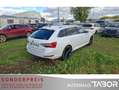 Skoda Superb Combi 2.0 TDI L&K 4x4 DSG Pano AHK Lane - thumbnail 3