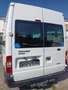 Ford Transit Bus FT280 Weiß - thumbnail 7