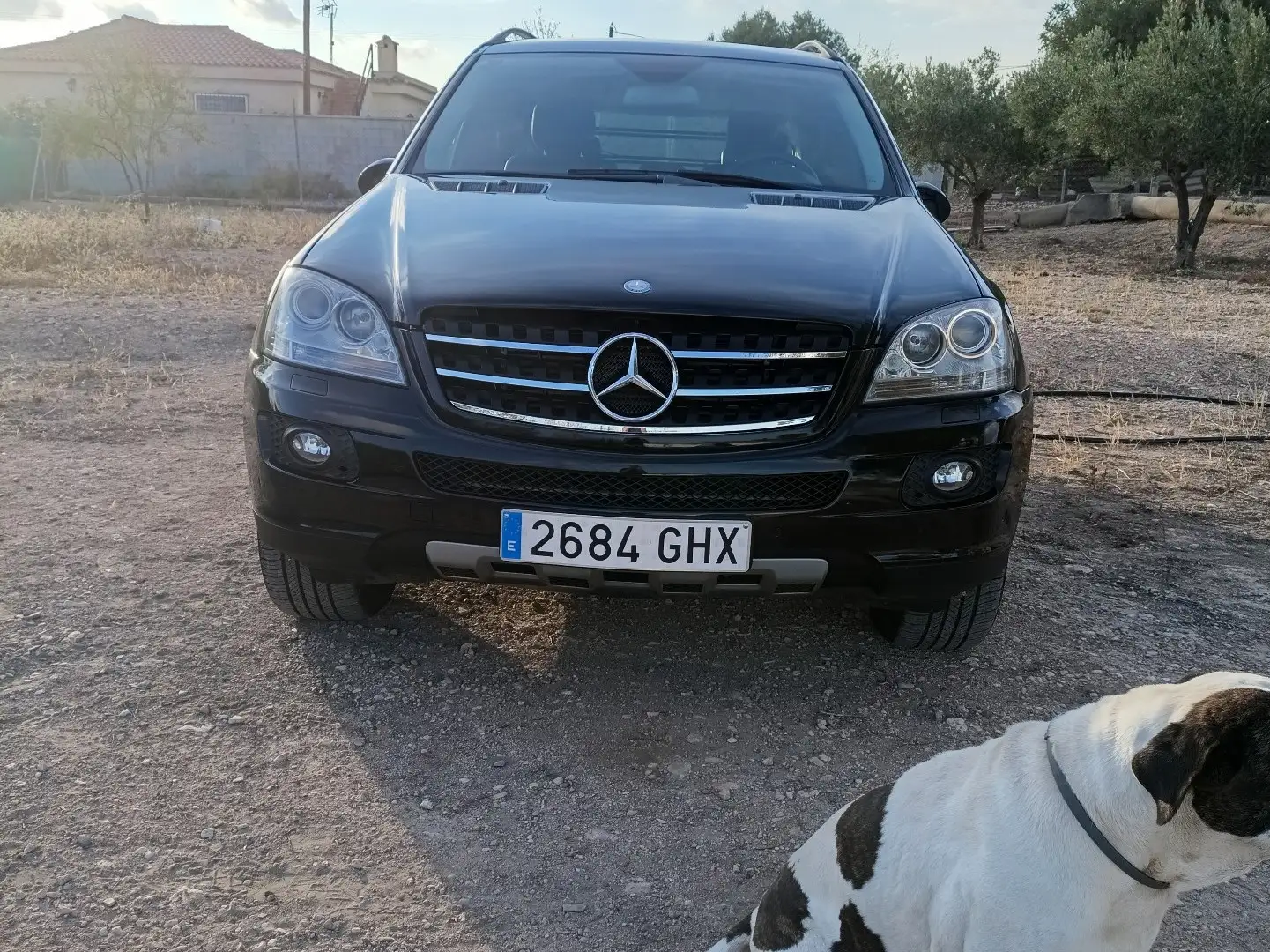 Mercedes-Benz ML 420 420CDI Aut. - 1