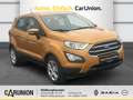 Ford EcoSport 1.0 EcoBoost, Cool&Connect  Winterpaket - Allwetter Gelb - thumbnail 3
