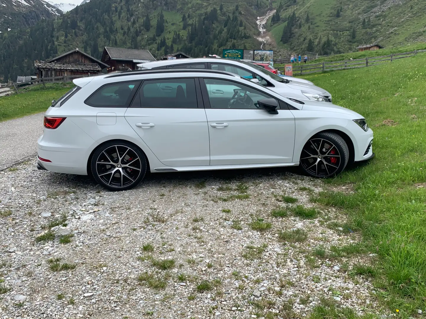 SEAT Leon Cupra Carbon Edition 25Stk. in Österreich Weiß - 2