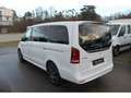 Mercedes-Benz V 300 d 4MATIC EDITION+AMG+Standheiz+LED+7-Sitz Weiß - thumbnail 3