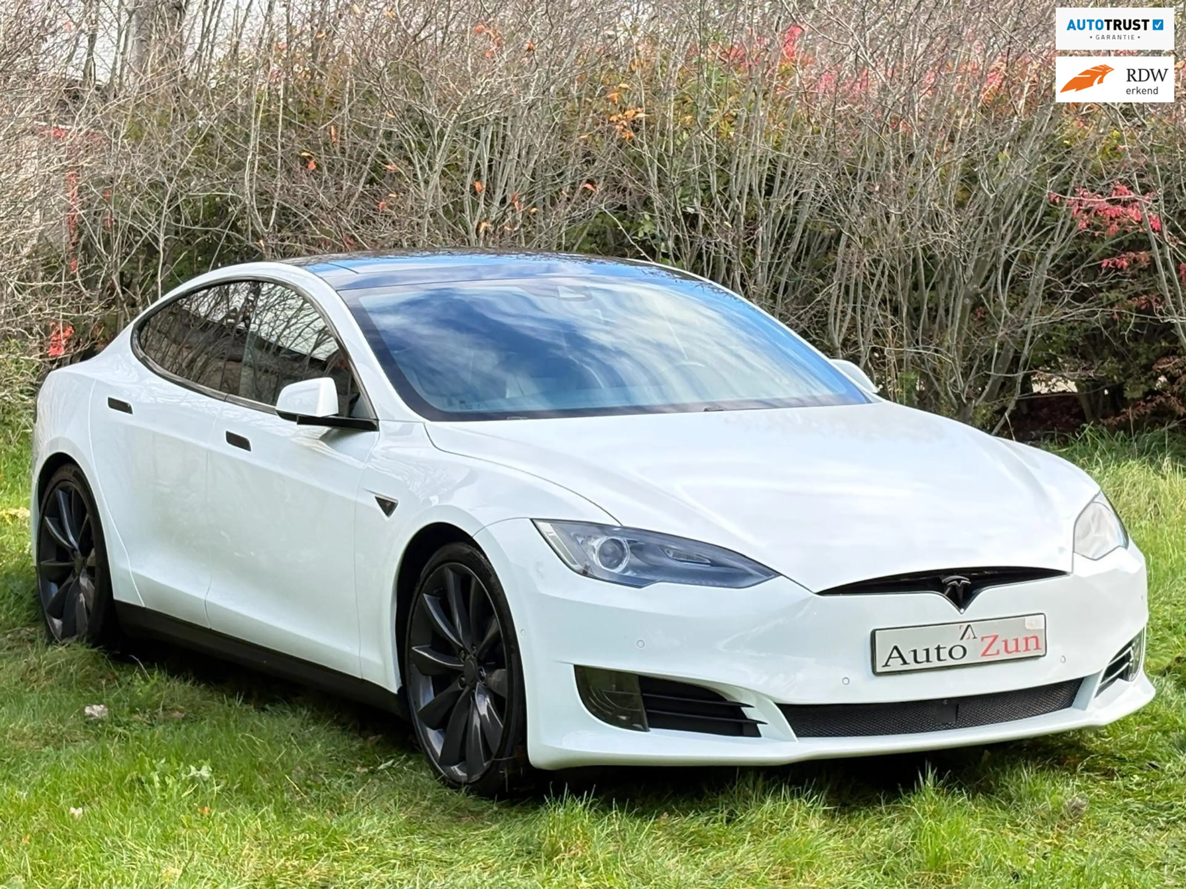 Tesla Model S 70D Base/Pano/Autopilot/Leer