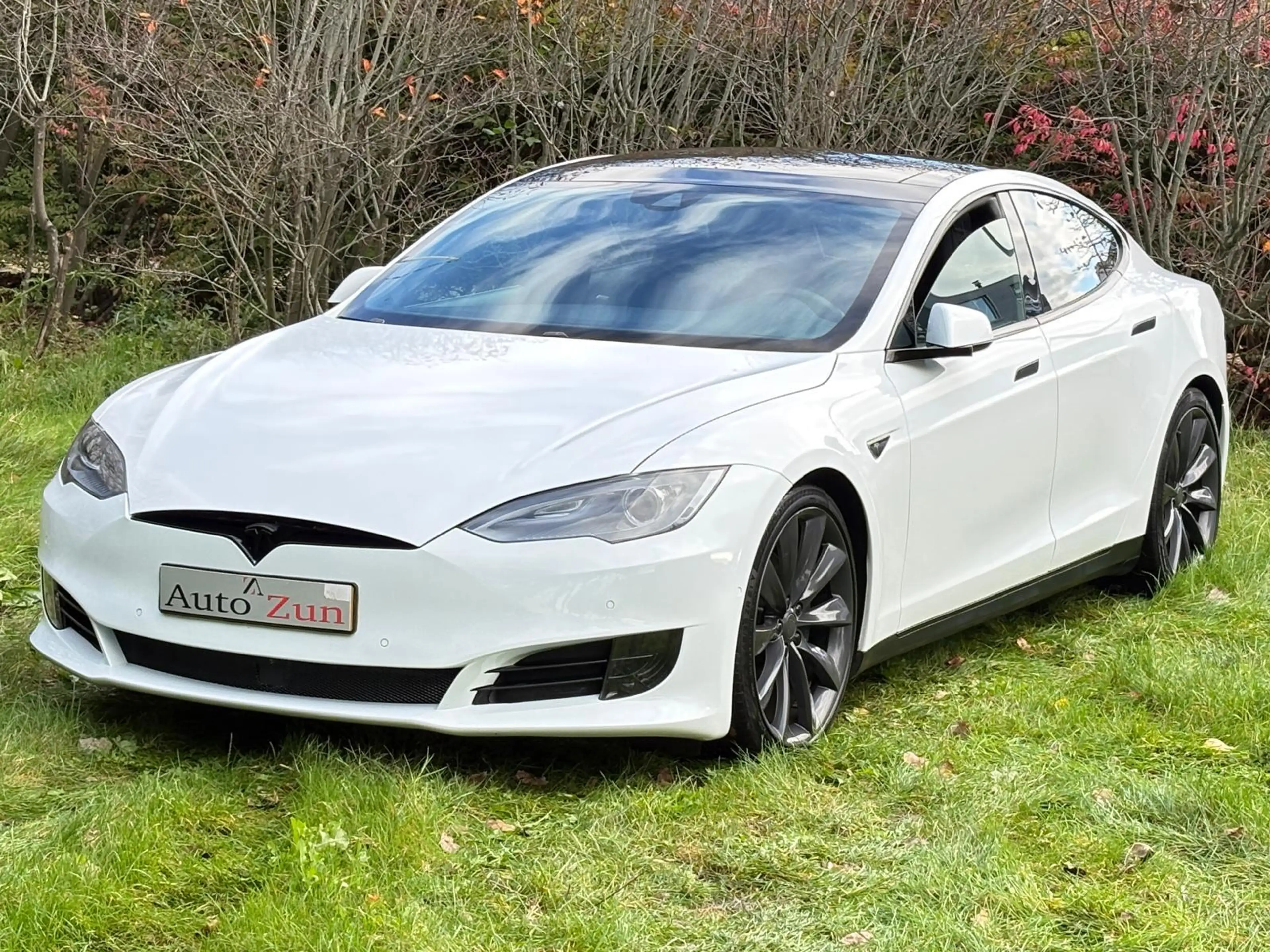 Tesla Model S 70D Base/Pano/Autopilot/Leer — photo 3