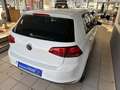 Volkswagen Golf VII Cup 5 türig Sitzhzg Allwetterreifen PDC Wit - thumbnail 18