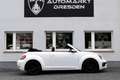 Volkswagen Beetle Design 1.2 TSI Cabrio PDC*SHZ*1.Hand! Wit - thumbnail 4