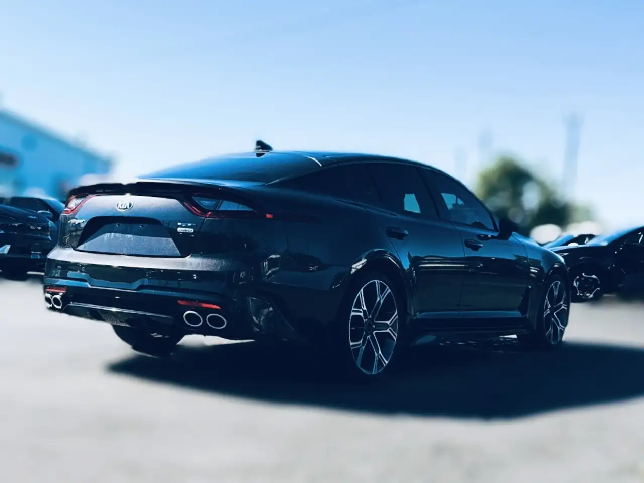 Kia Stinger fotografie Kia Stinger