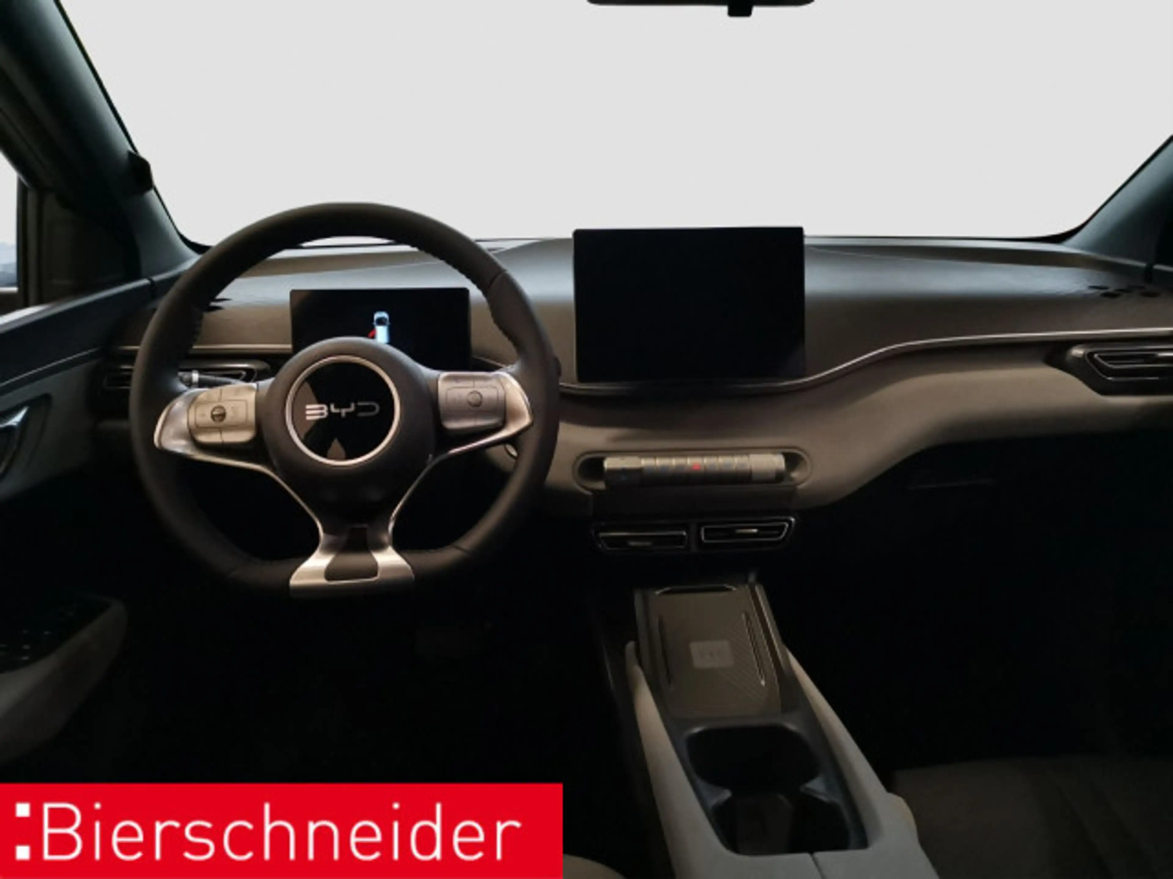BYD Dolphin Surf Dolphin Surf 2025 Boost LEDER NAVI CAM — photo 12