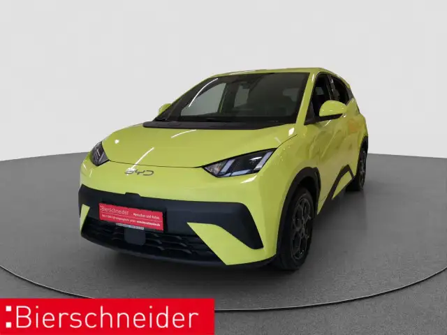 BYD Dolphin Surf