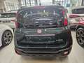 Fiat New Panda Pandina 1.0 hybrid s&s 70cv Zelená - thumbnail 5