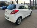 Ford Ka/Ka+ Ka II 3p 2009 Ka 1.2 + 69cv E5 OTTIMA Weiß - thumbnail 3