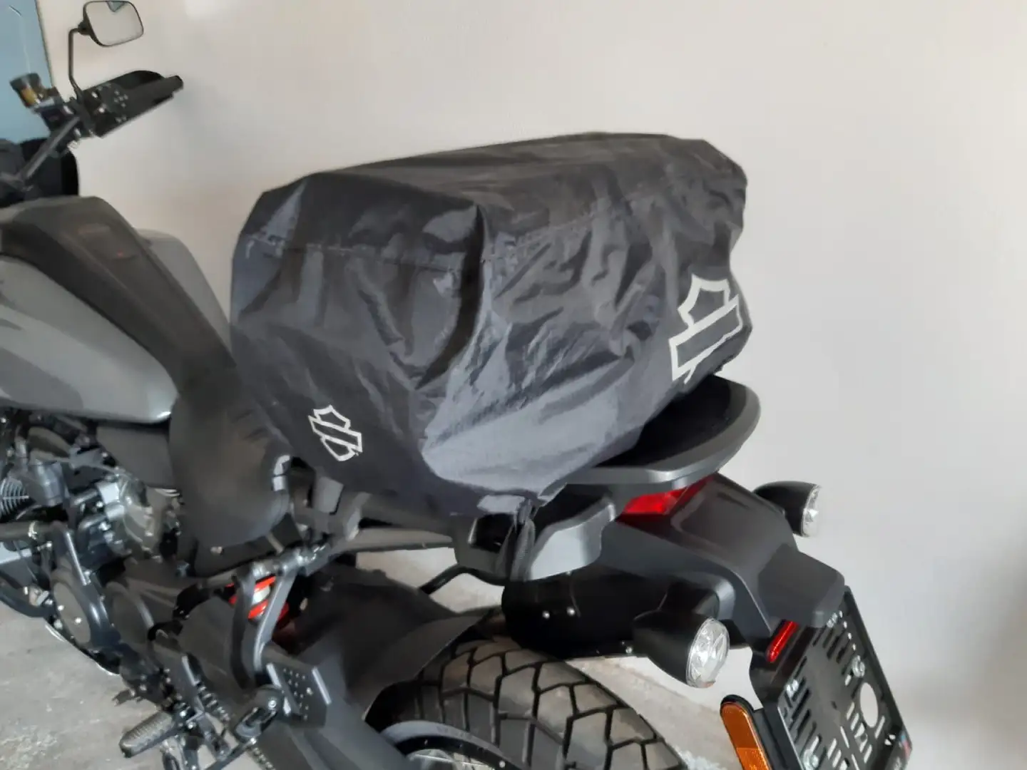 Harley-Davidson Pan America Pan America 1250 SPEZIAL - 2