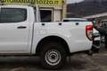 Ford Ranger 2.0 TDCi aut. DC Limited 5 posti Gancio Traino Bianco - thumbnail 11