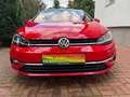 Volkswagen Golf VII 1,5 TSI Highline BMT/Start-Stopp Rot - thumbnail 8