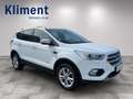 Ford Kuga Titanium 4x4 2,0 TDCi 150PS Blanc - thumbnail 4