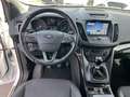 Ford Kuga Titanium 4x4 2,0 TDCi 150PS Blanc - thumbnail 6