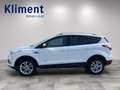 Ford Kuga Titanium 4x4 2,0 TDCi 150PS Blanc - thumbnail 2
