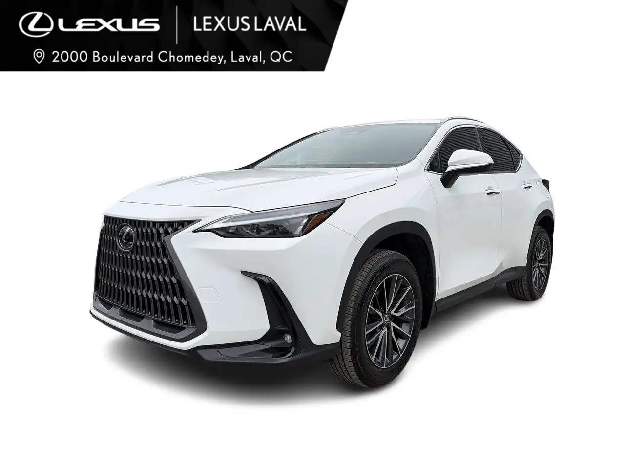Lexus NX снимка Lexus NX