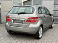 Mercedes-Benz B 170 Navi/PTS/Sitzhzg./Klimaauto/8-fach bereift Grau - thumbnail 3