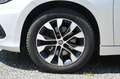 Fiat Tipo 1.3 Mjt S&S 5 porte Business Grigio - thumbnail 10