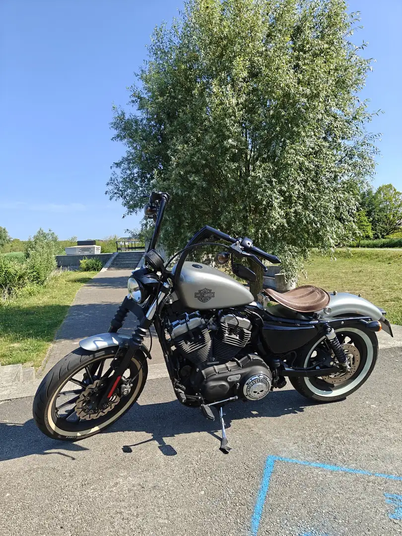 Harley-Davidson XL 1200 Nightster Szürke - 1