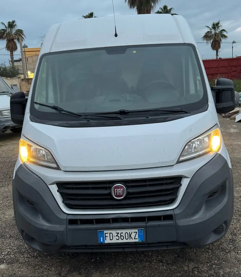 Fiat Ducato Bianco - 1