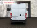 Fiat Ducato Maxi L5H3#SHZ#LED#179PS Weiß - thumbnail 5