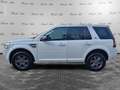Land Rover Freelander Freelander 2.2 SD4 S.W. HSE Bianco - thumbnail 8