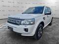 Land Rover Freelander Freelander 2.2 SD4 S.W. HSE Bianco - thumbnail 2
