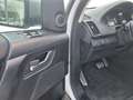 Land Rover Freelander Freelander 2.2 SD4 S.W. HSE Bianco - thumbnail 10