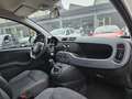 Fiat Panda 1.2 EasyPower Easy Bianco - thumbnail 8