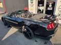 Ford Mustang Convertible GT/CS V8 5,0L BVA Schwarz - thumbnail 5
