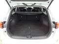 Kia Ceed SW / cee'd SW Sportswagon 1.0 T-GDi DynamicPlusLine Privacy Glas Blanc - thumbnail 33