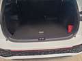 Volkswagen Tayron 2.0 TDI SCR 193 CV 4Motion DSG R-Line Tetto Ganci Bianco - thumbnail 7