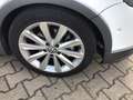 Volkswagen Golf Plus VI CrossGolf+Klima+Leder+Alu Weiß - thumbnail 18