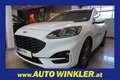 Ford Kuga ST-Line LED/Navi/Kamera Weiß - thumbnail 1